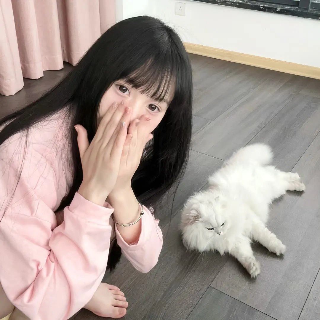 风骚律师第四季